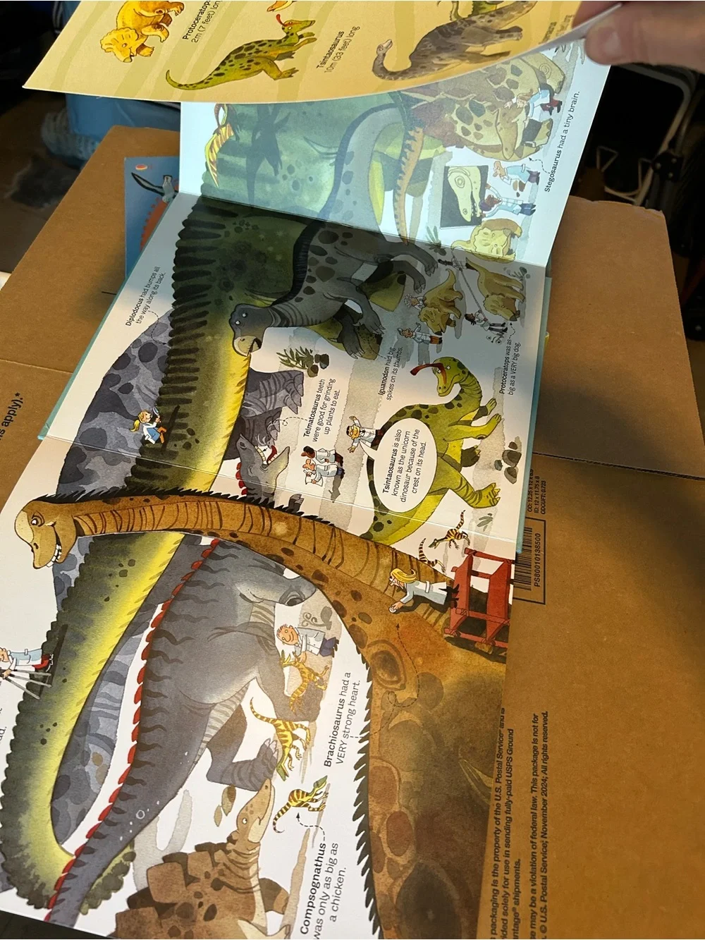 Usborne book of Big Animals and Big Dinosaurs